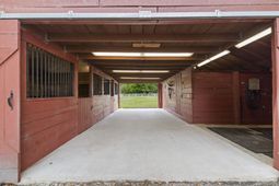 3725 Willow Springs Rd. photo 4