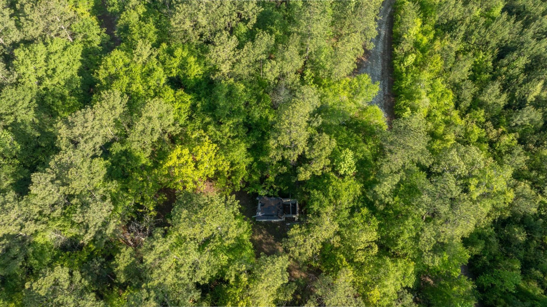 0 Etheridge Dr.  Photo 13