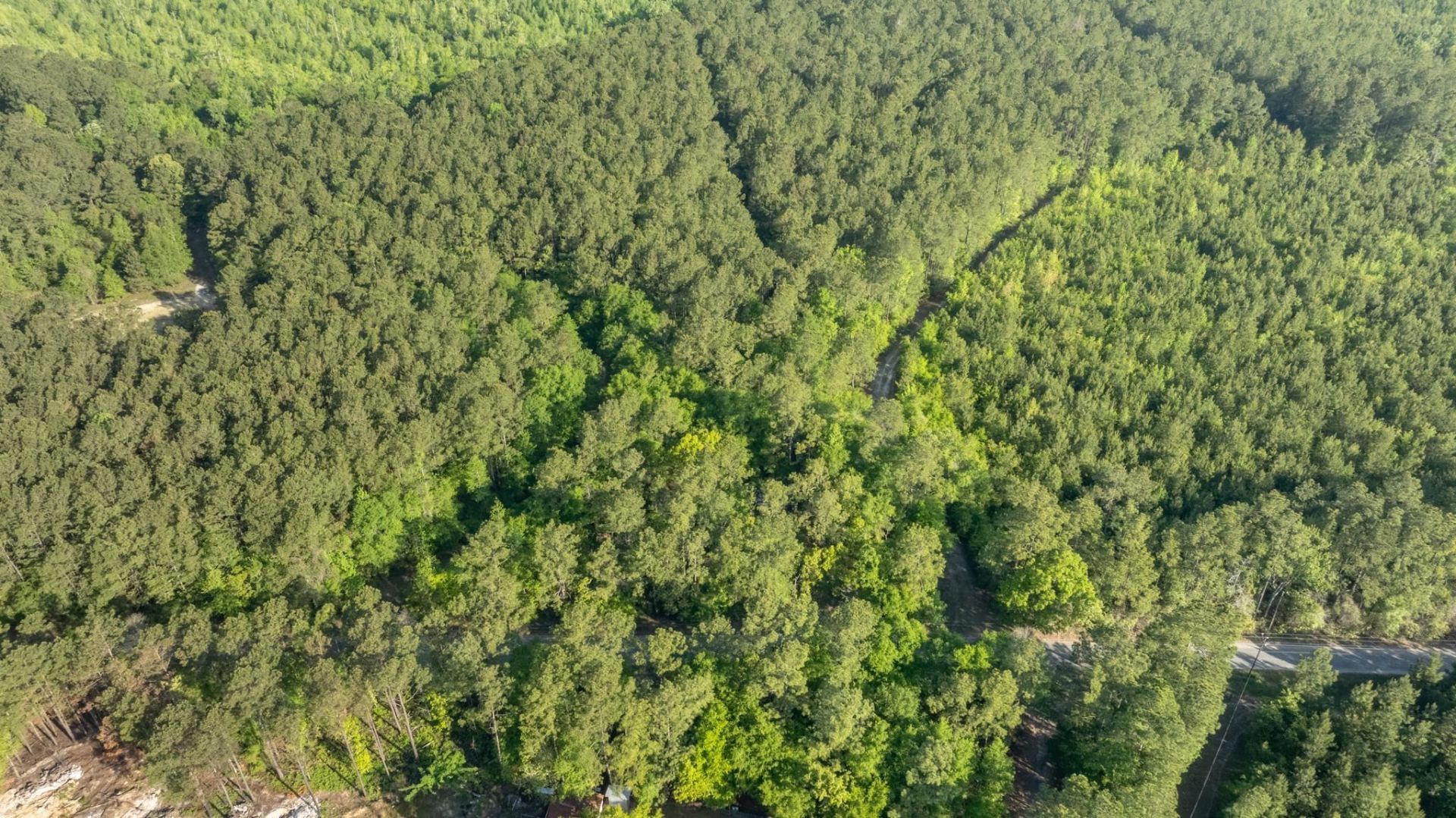 0 Etheridge Dr.  Photo 5