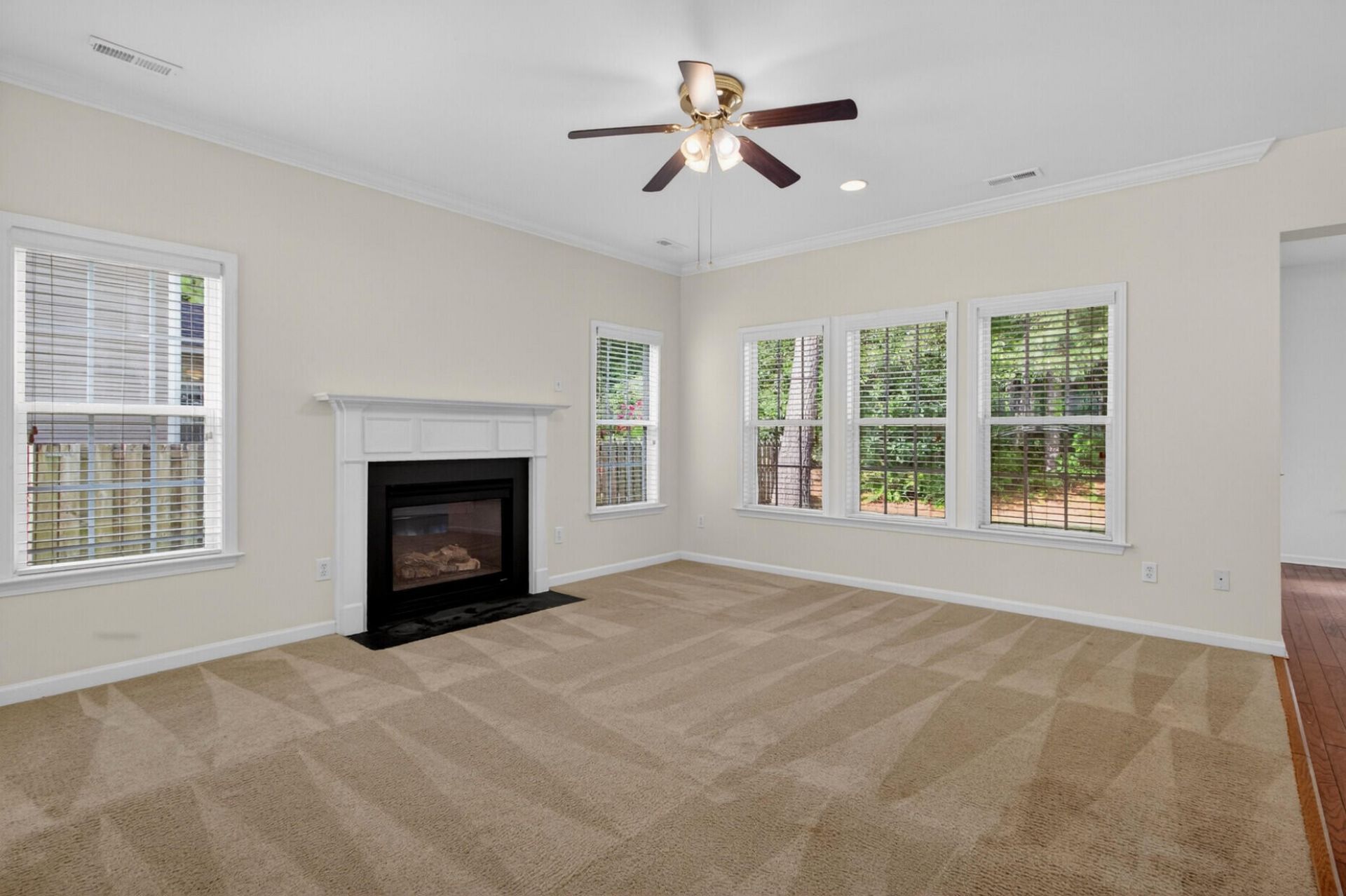 190 Sweet Alyssum Drive Photo 9