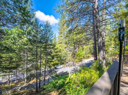 13155 Sargent Jacobs Dr, Nevada City, CA 95959 Photo