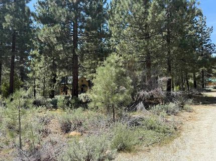 93 Juniper Road, Chilcoot, CA 00000 Photo