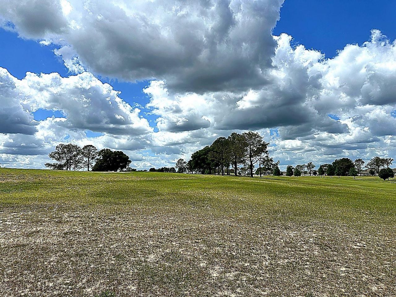 3496 Greenbluff Road , Unit 1118, Zellwood, FL 32798 Photo