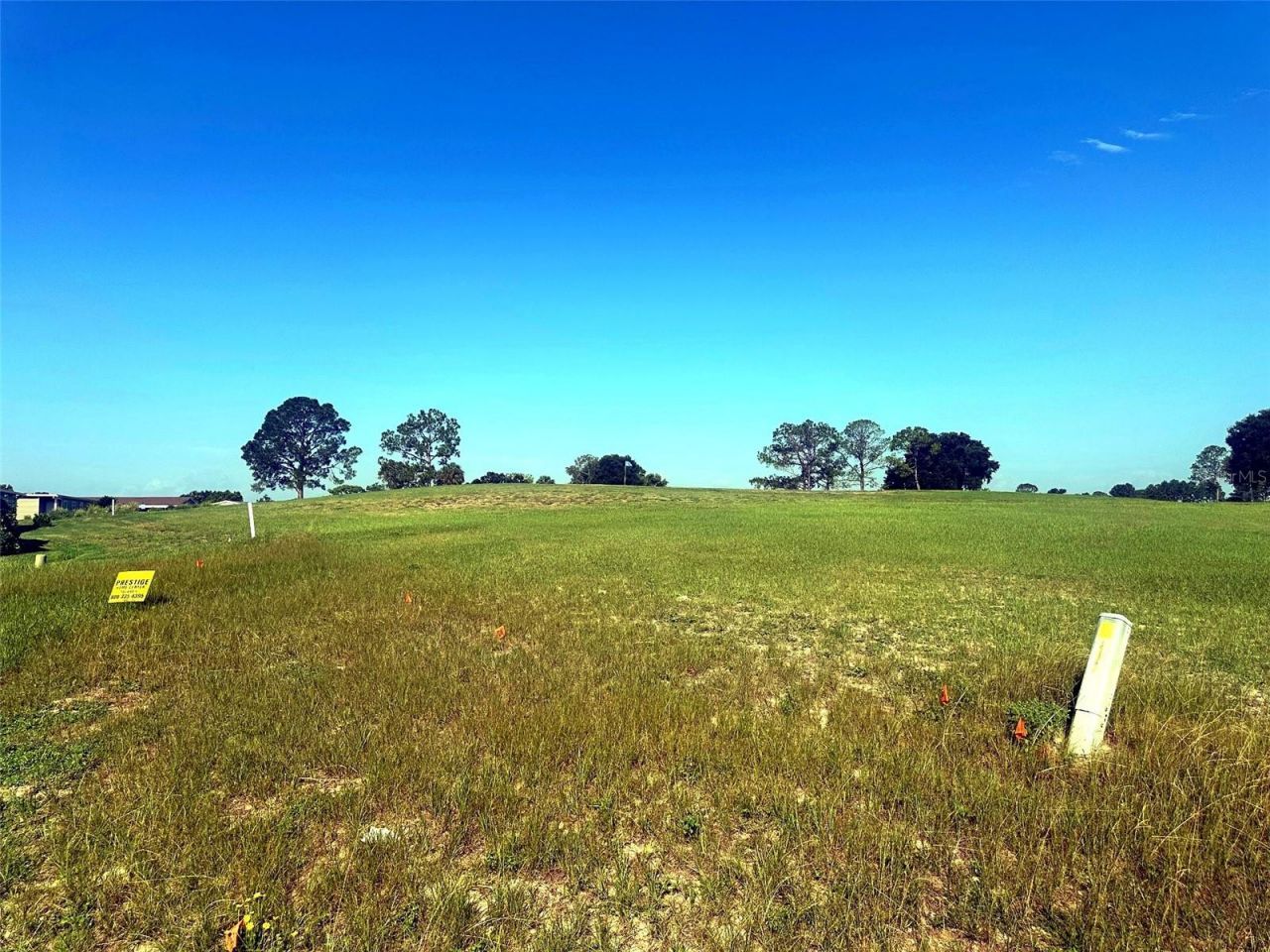 3496 Greenbluff Road, Unit 1118, Zellwood, FL 32798 Photo