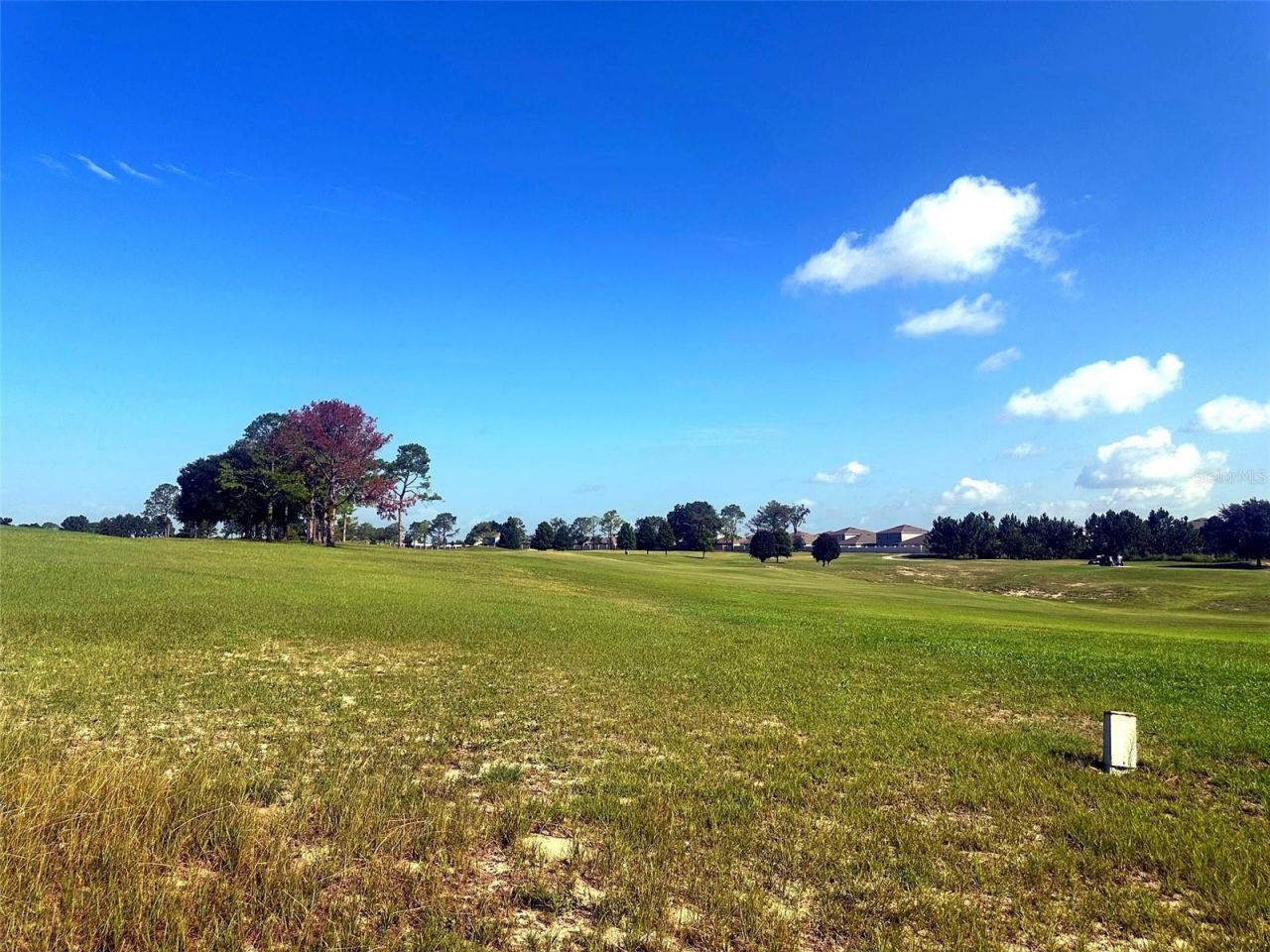 3492 Greenbluff Road, Unit 1119, Zellwood, FL 32798 Photo