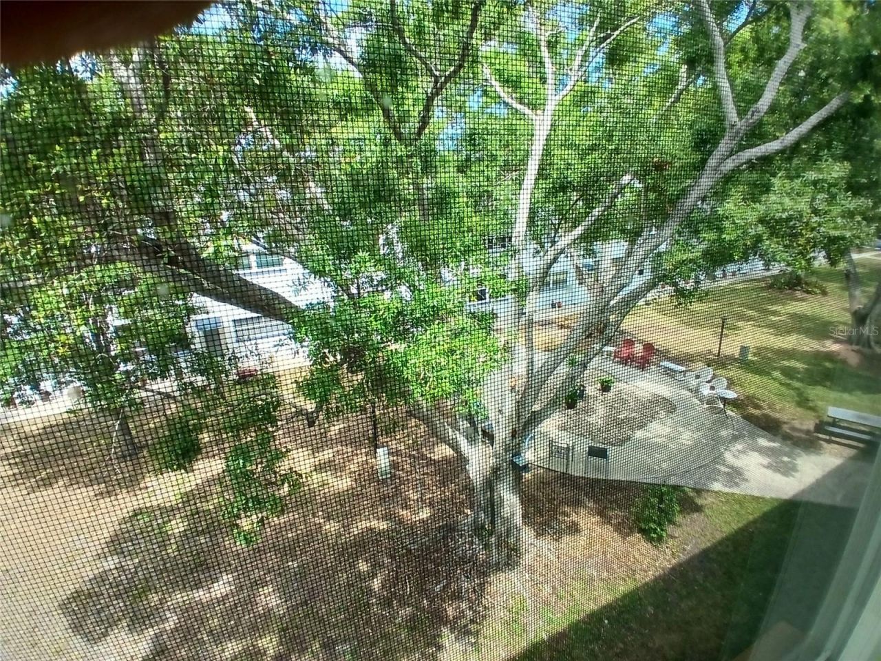 5880 38th Avenue N, Unit 304, Saint Petersburg, FL 33710 Photo