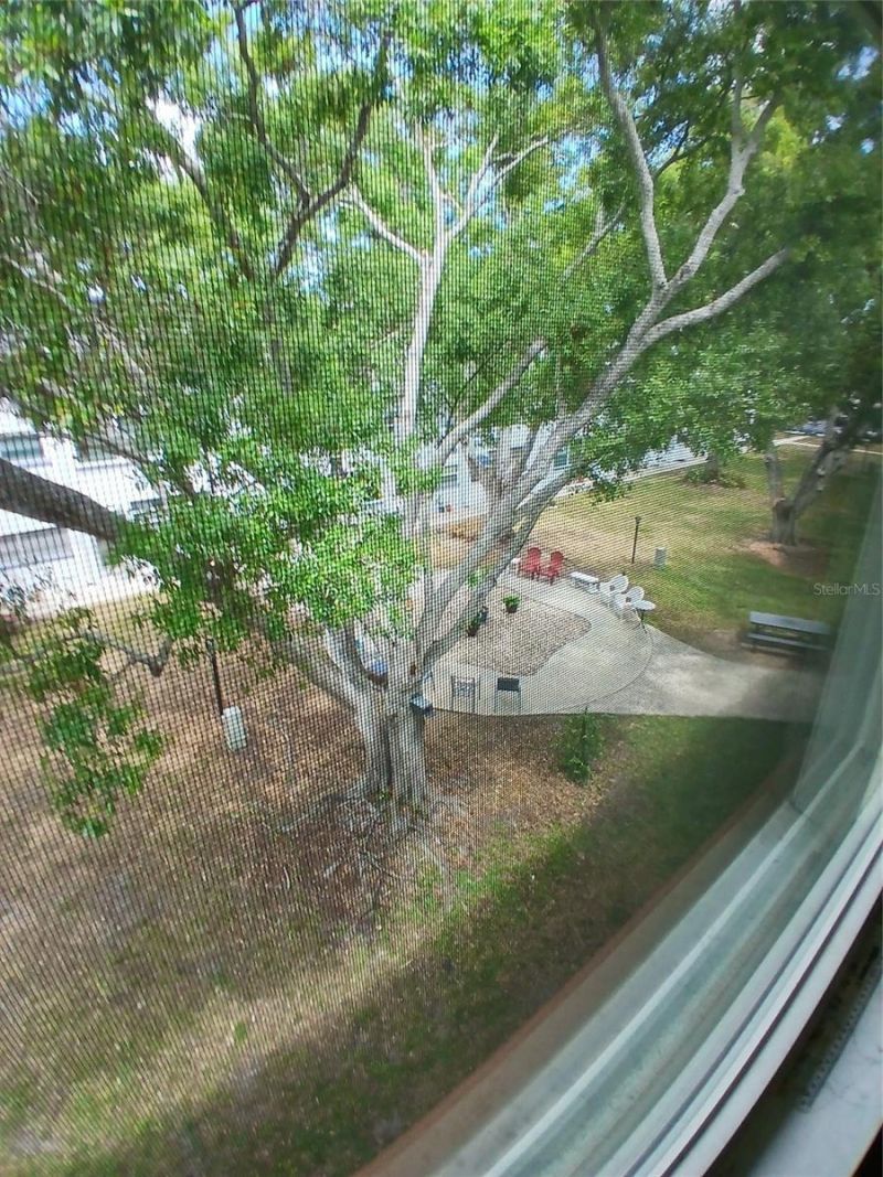 5880 38th Avenue N, Unit 304, Saint Petersburg, FL 33710 Photo
