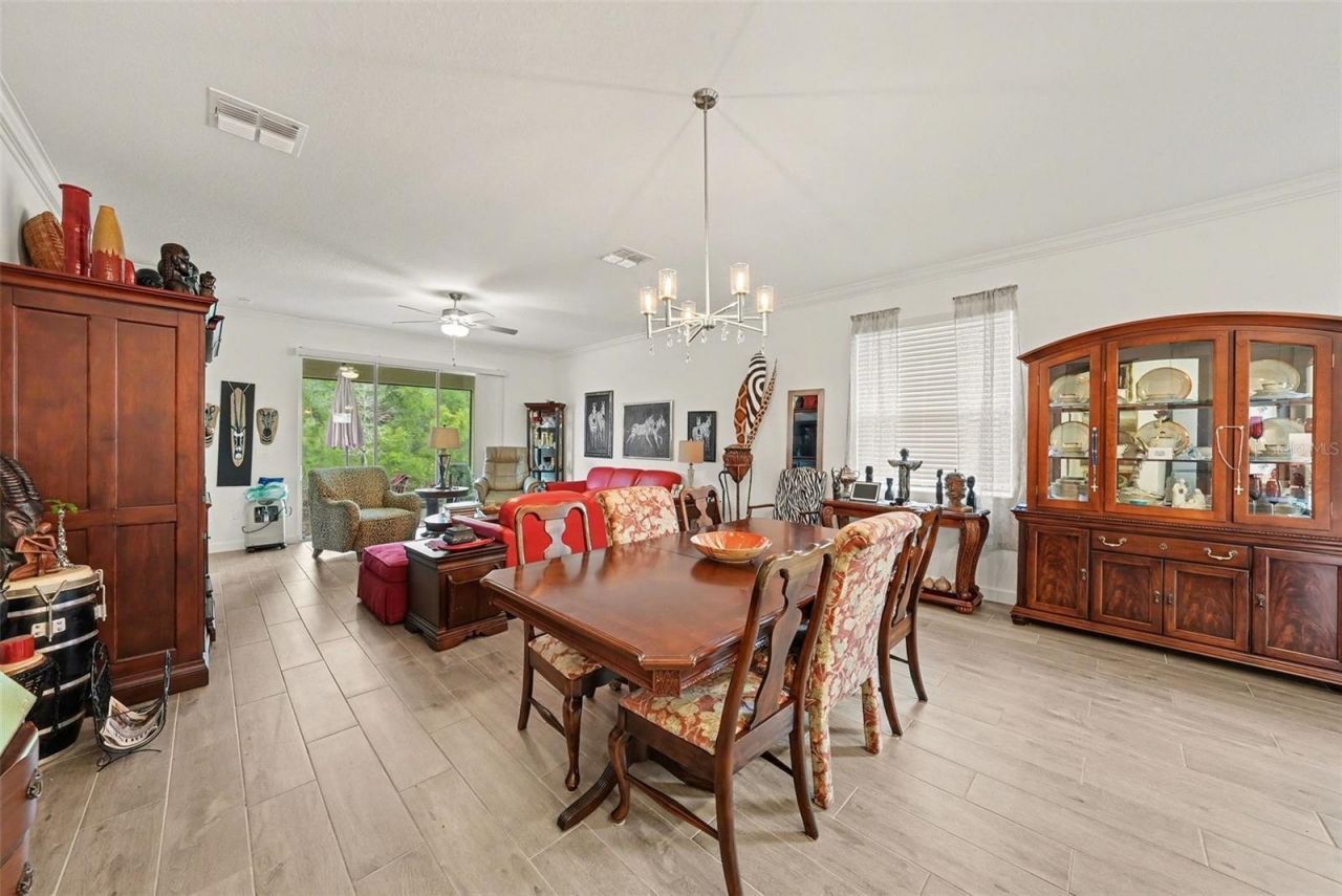 10395 Banyan Breeze Boulevard, Land O Lakes, FL 34638 Photo
