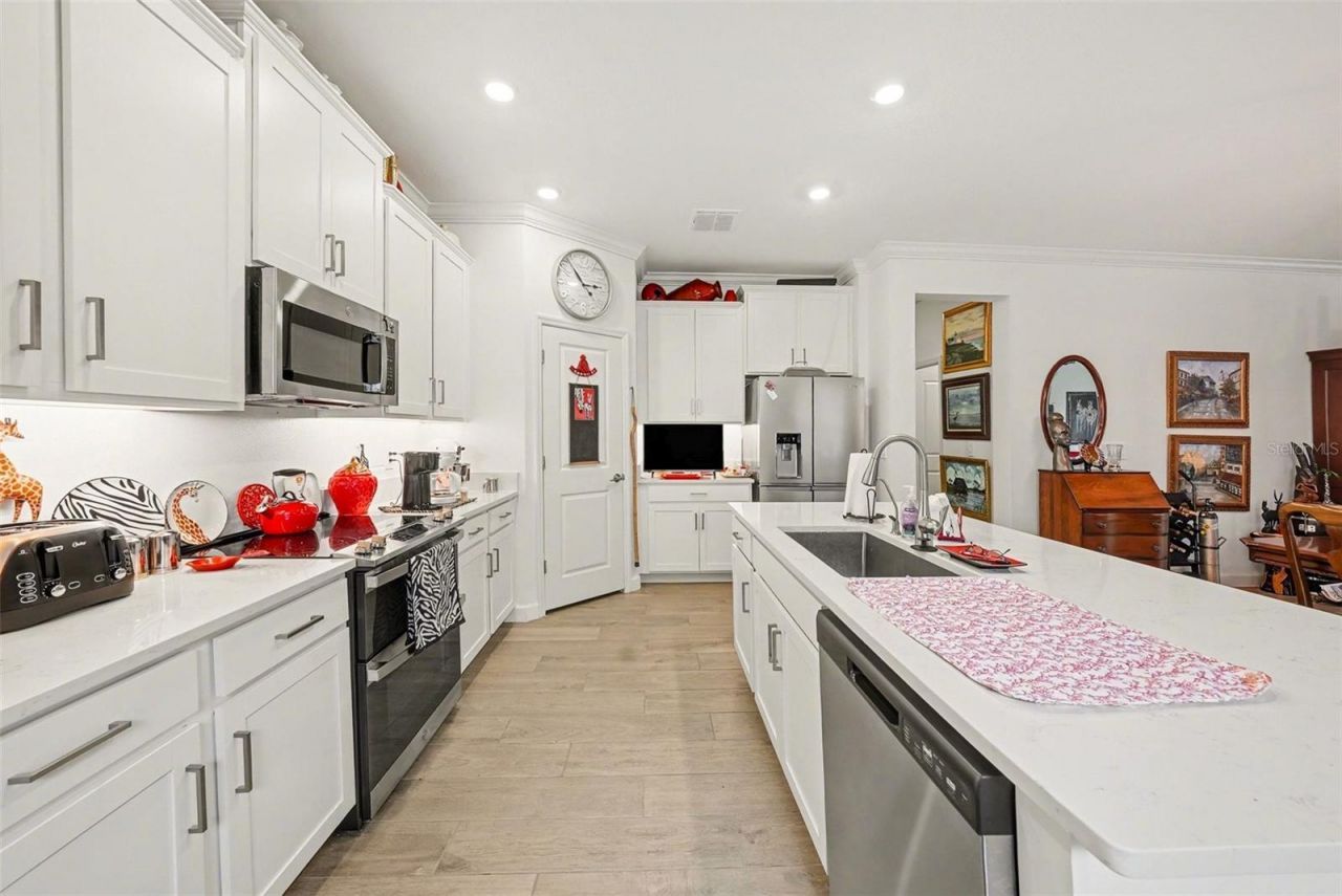 10395 Banyan Breeze Boulevard, Land O Lakes, FL 34638 Photo