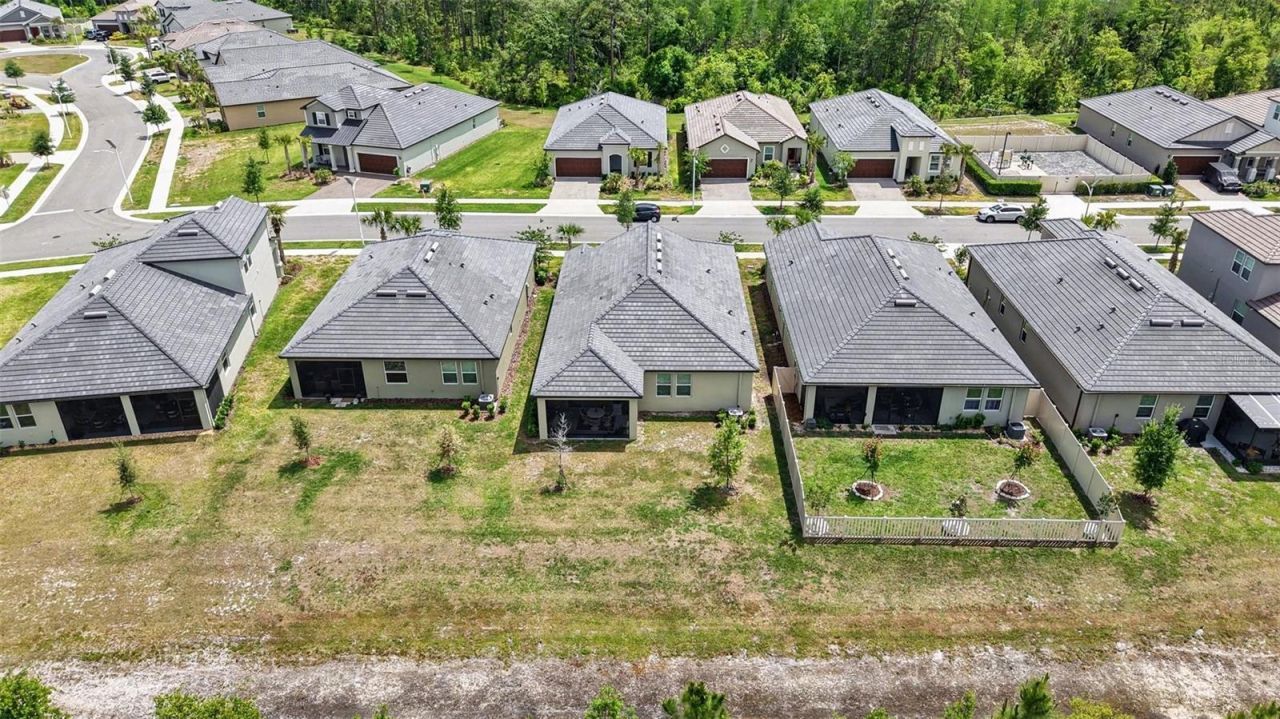10395 Banyan Breeze Boulevard, Land O Lakes, FL 34638 Photo