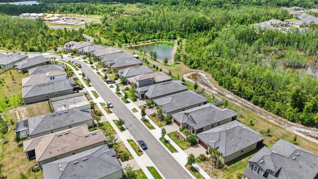 10395 Banyan Breeze Boulevard, Land O Lakes, FL 34638 Photo