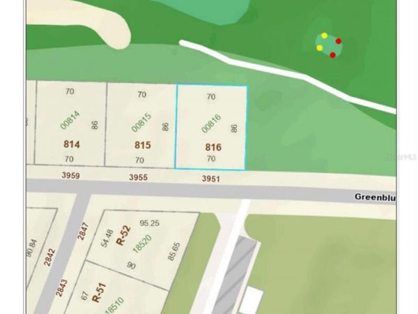 3951 GREENBLUFF ROAD , Unit 816, ZELLWOOD, FL 32798