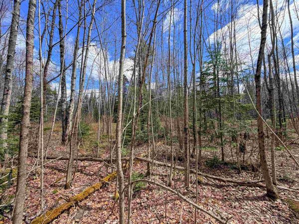 Lot 4 Oregon Road, Concord, VT 05824
