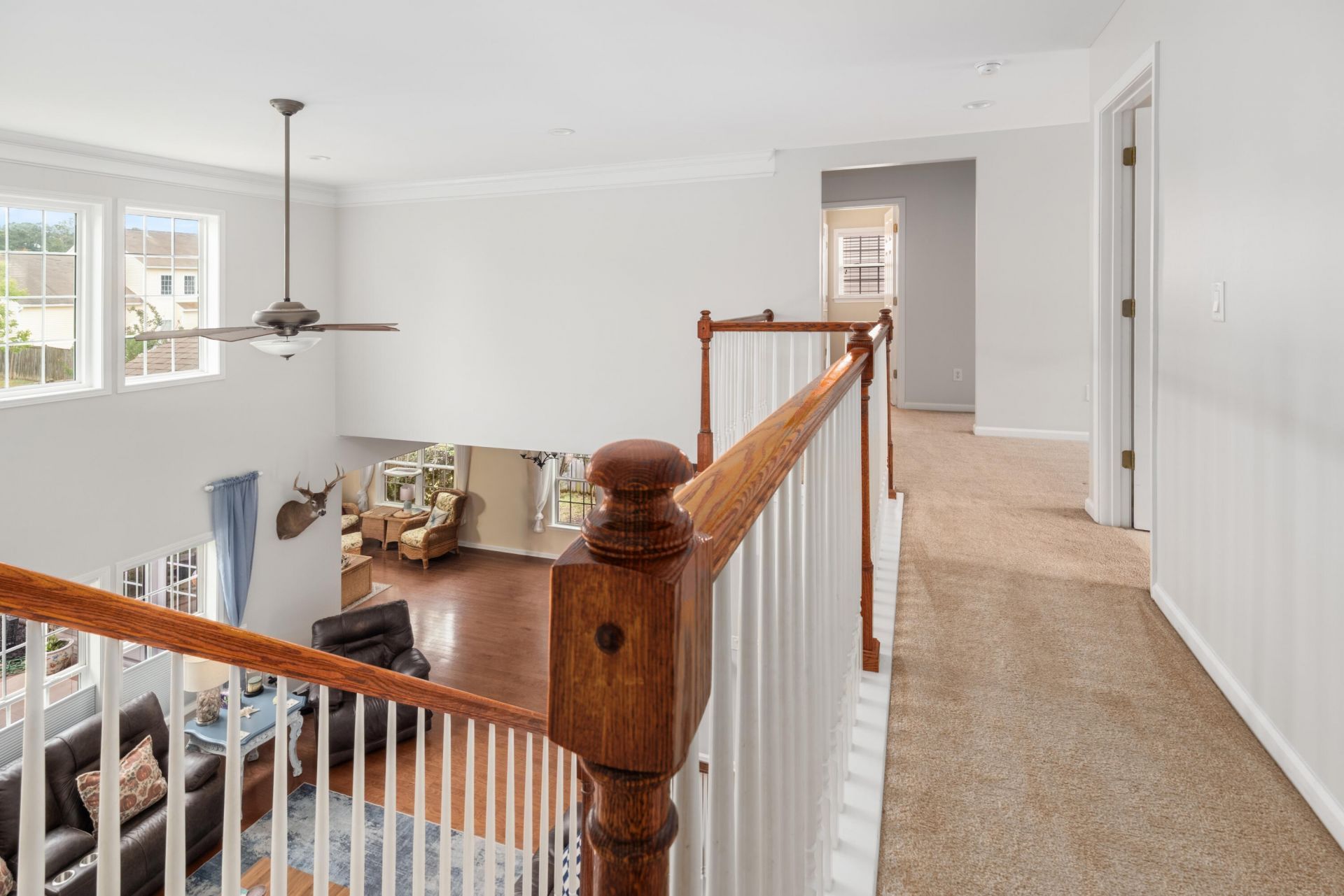 223 Mayfield Drive Photo 19