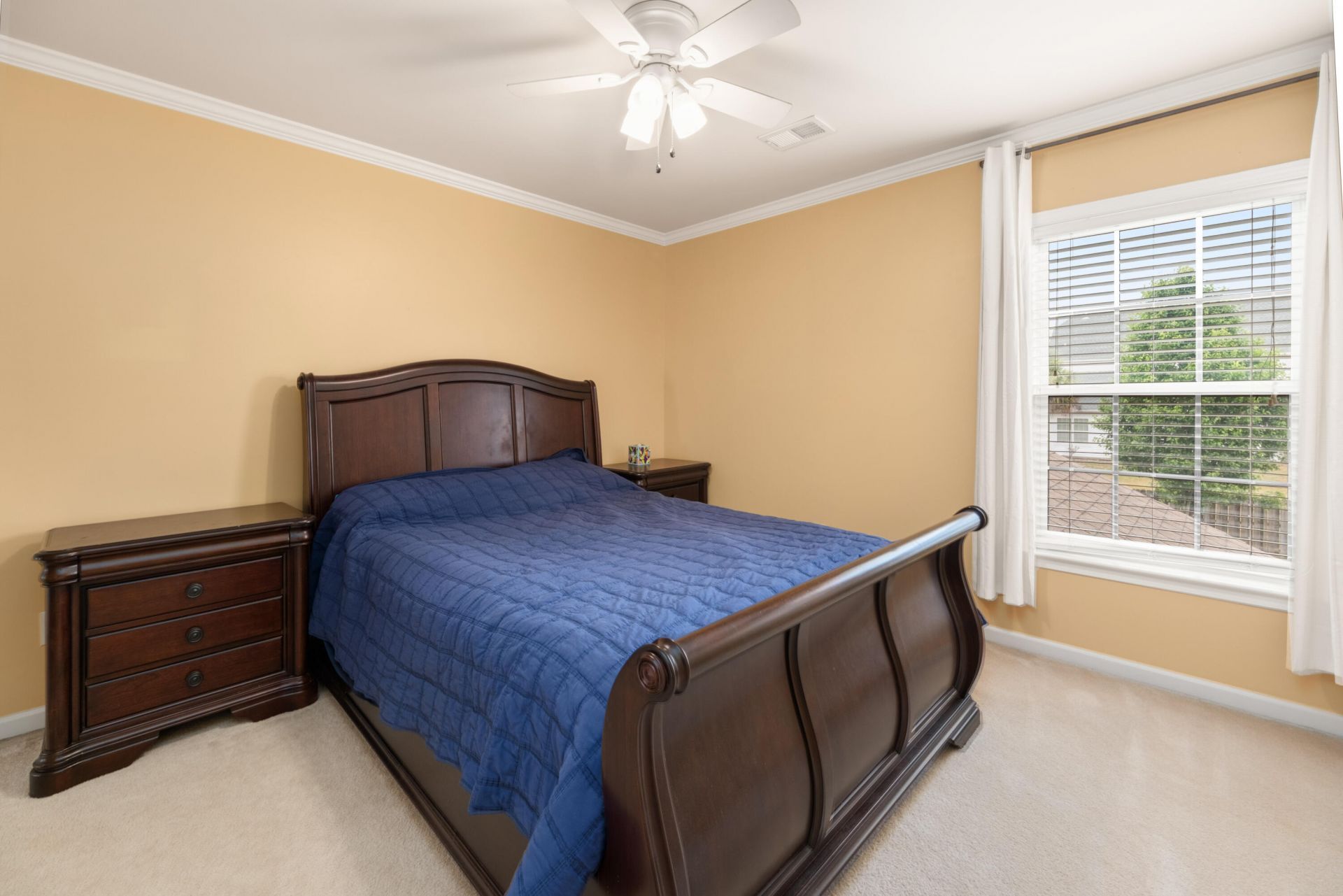 223 Mayfield Drive Photo 22