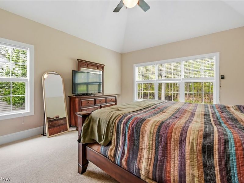 12355 Summerwood Drive, Concord Township, OH 44077 Photo 19