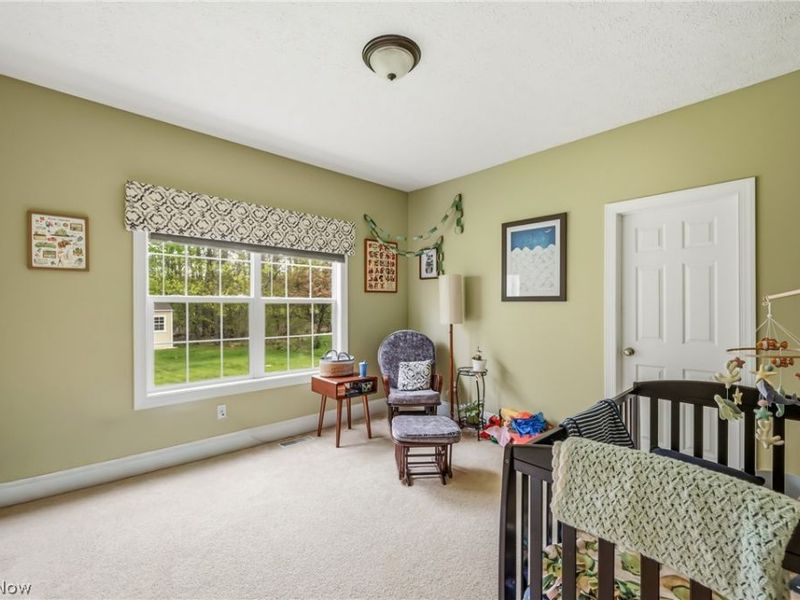 12355 Summerwood Drive, Concord Township, OH 44077 Photo 25
