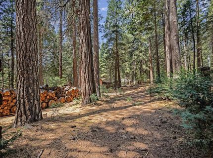 26860 Elmore Ct, Pioneer, CA 95666 Photo