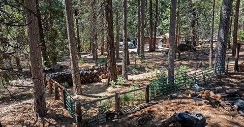 26860 Elmore Ct, Pioneer, CA 95666 Photo