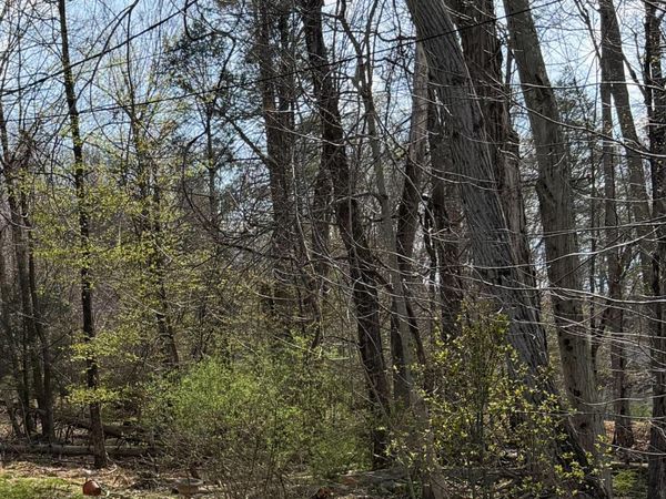 Rear Spring Street, Harveys Lake, PA 18618
