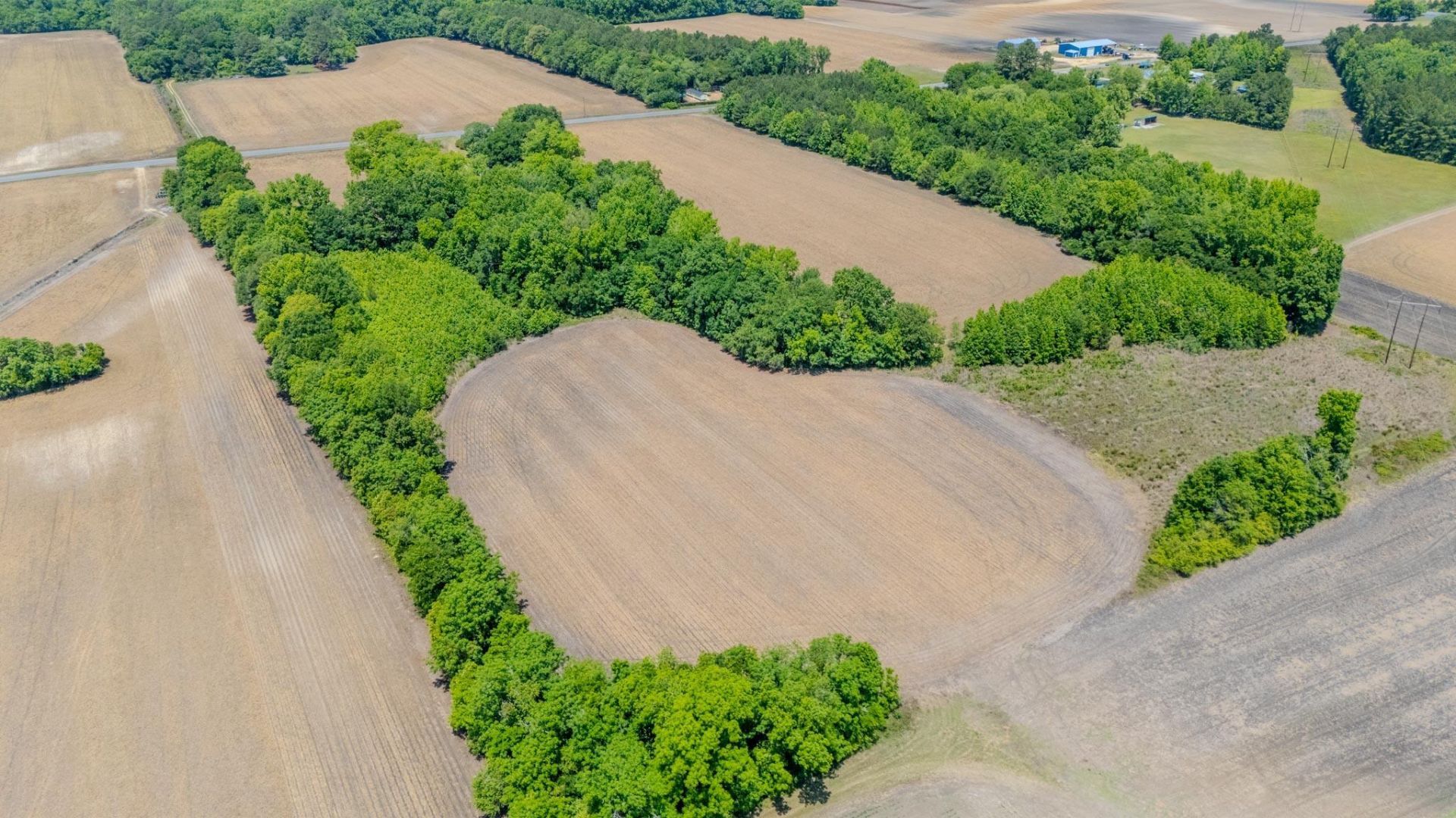 1505 Midway Road Photo 40