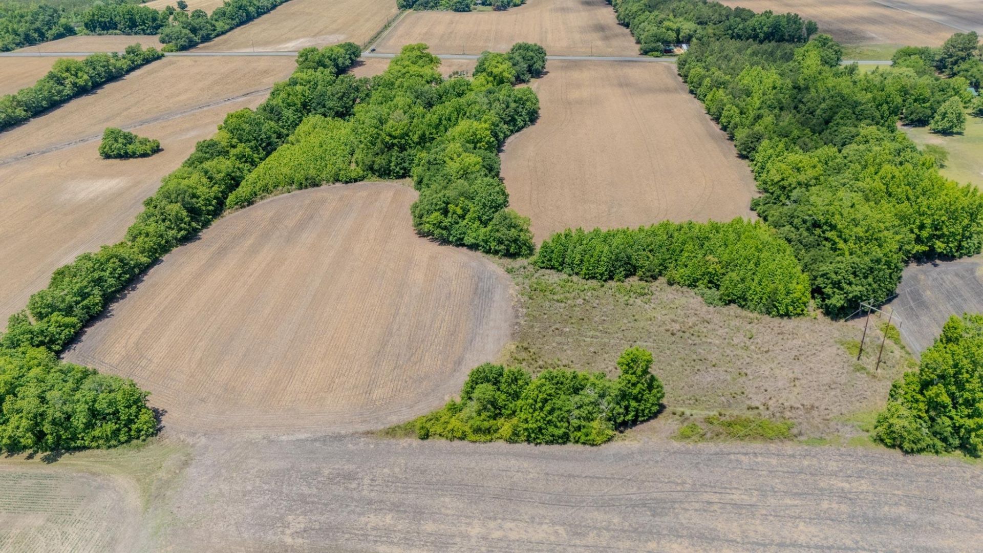 1505 Midway Road Photo 41