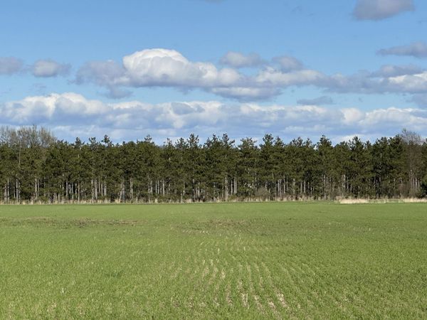 2210 E Gajeski Road, Free Soil, MI 49411