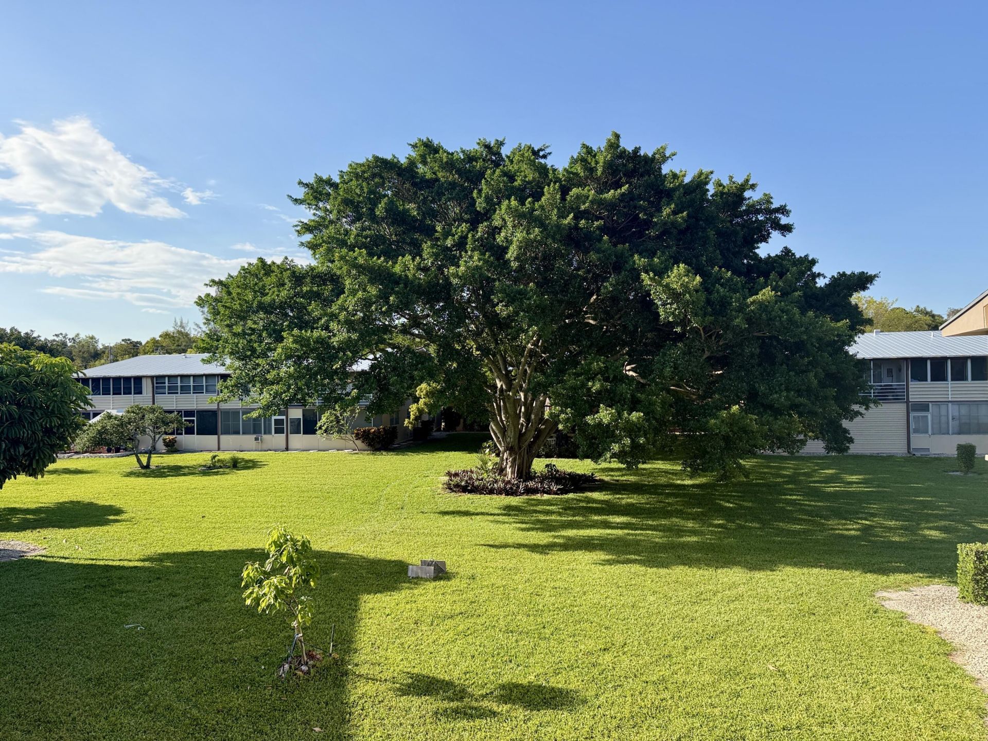 228 Canterbury J, West Palm Beach, FL 33417 Photo