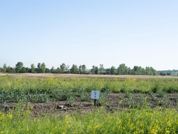 10105 Ayrshire Road, Chandler, IN 47610