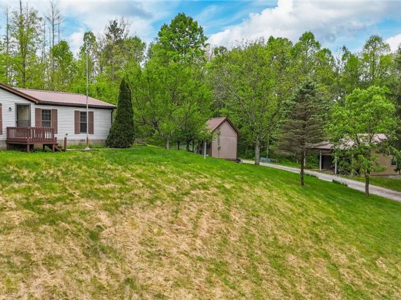 50 Dalzell Road, Whipple, OH 45788 Photo 4