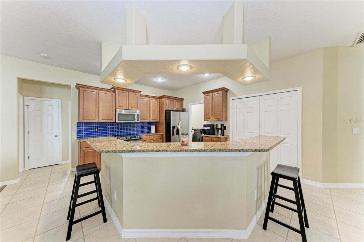 17612 White Fox Drive, Parrish, FL 34219 Photo