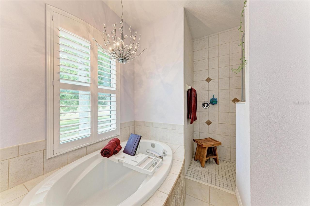 17612 White Fox Drive, Parrish, FL 34219 Photo