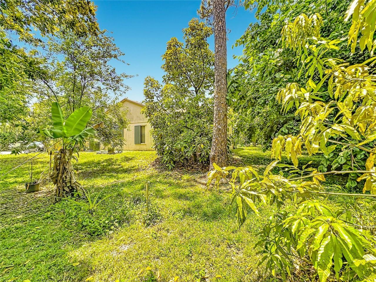 12821 86th Road N, West Palm Beach, FL 33412 Photo