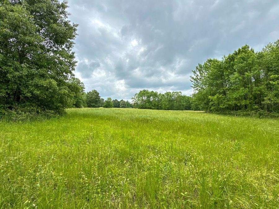 Property Image 51
