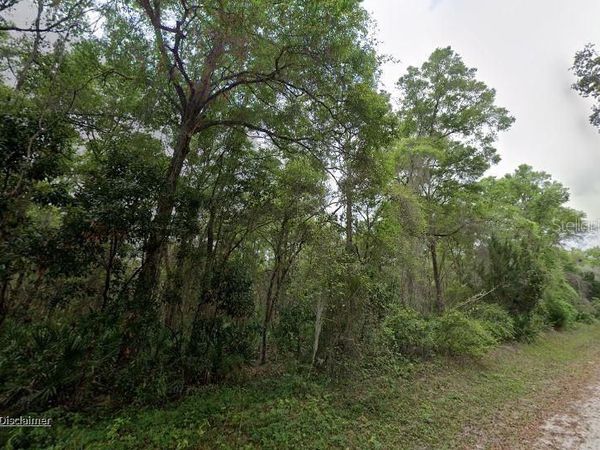 88 NE 463RD AVENUE , OLD TOWN, FL 32680
