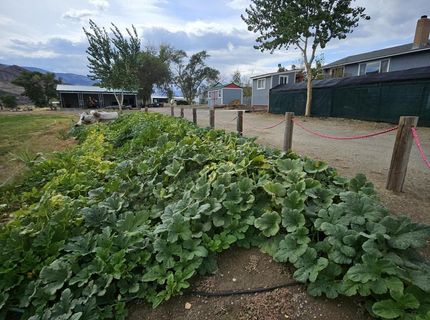31850 Cantlon Drive, Wadsworth, NV 89442 Photo