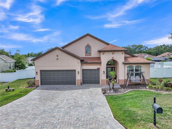 12309 LOOPBACK DRIVE , SAN ANTONIO, FL 33576