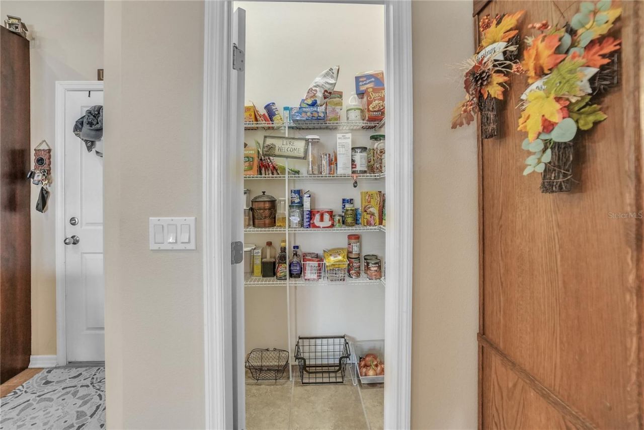 12309 Loopback Drive, San Antonio, FL 33576 Photo
