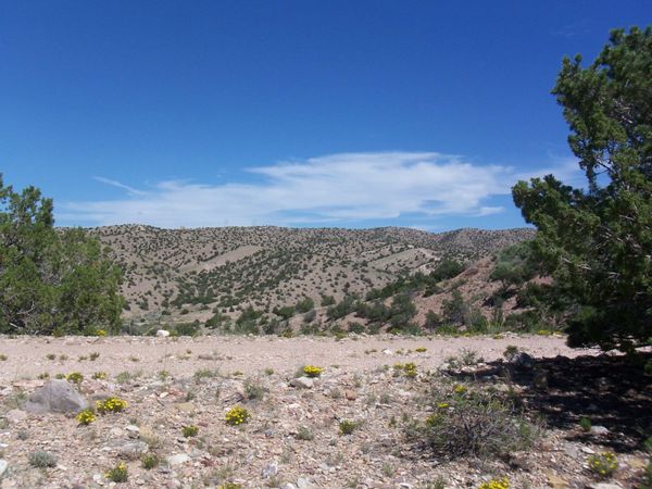 56 CAMINO DE LAS BRISAS , Placitas, NM 87043
