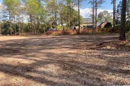 Dunlap Dr photo 4