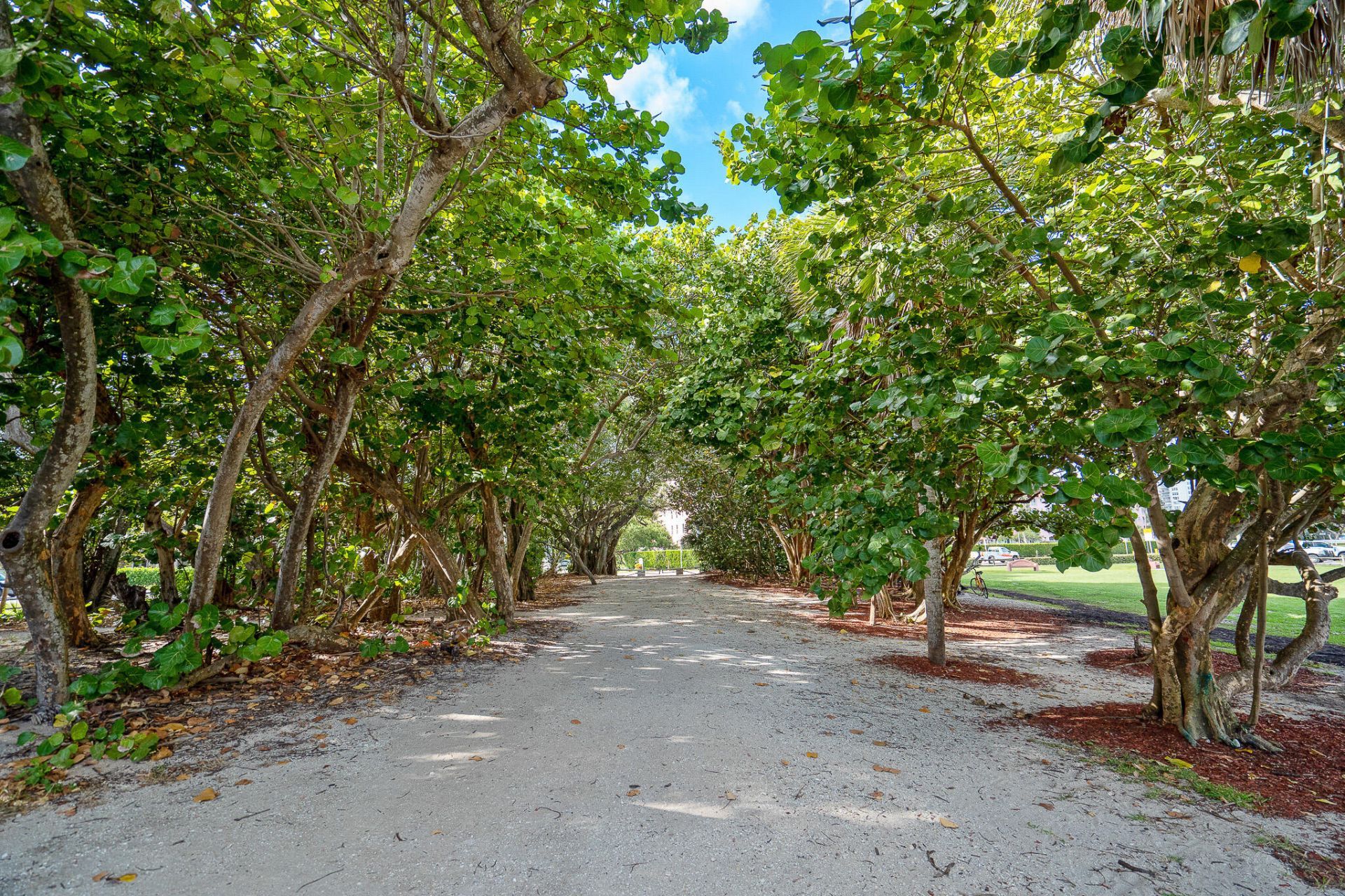950 Ponce De Leon, Unit 3120, Boca Raton, FL 33432 Photo