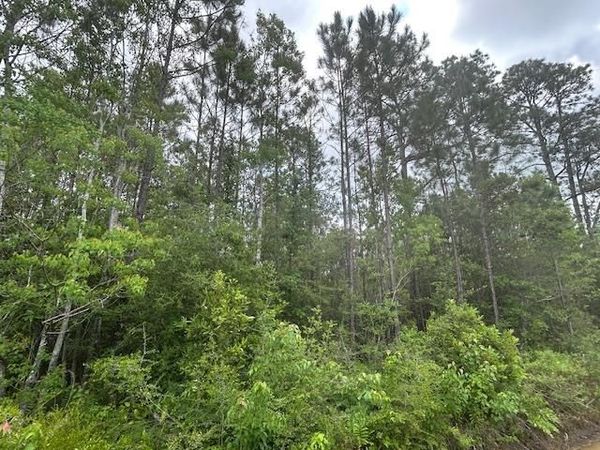 xx N 15th Avenue, Other Florida, FL 32583