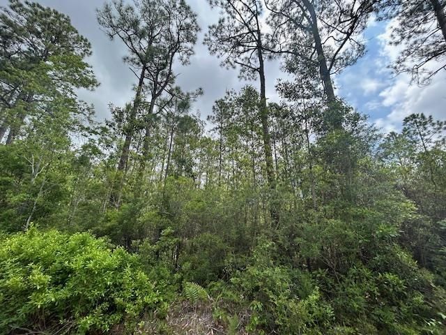 Xx N 15th Avenue, Other Florida, FL 32583 Photo
