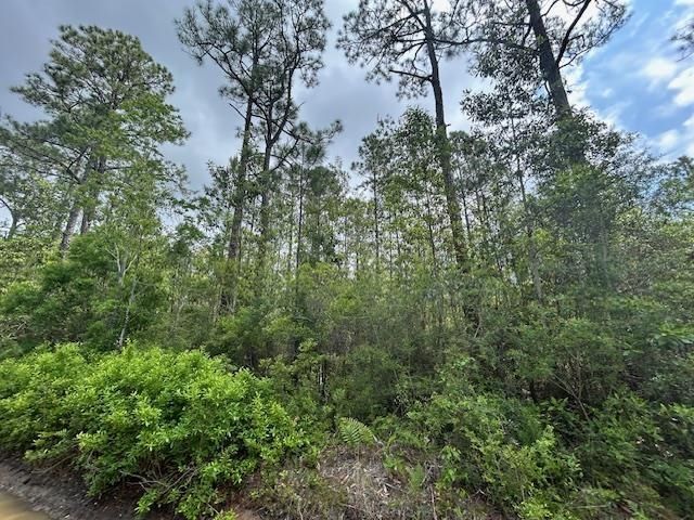 Xx N 15th Avenue, Other Florida, FL 32583 Photo