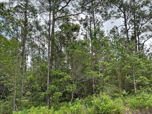 Xx N 15th Avenue, Other Florida, FL 32583 Photo