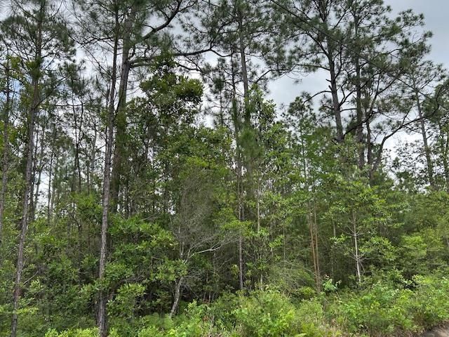 Xx N 15th Avenue, Other Florida, FL 32583 Photo