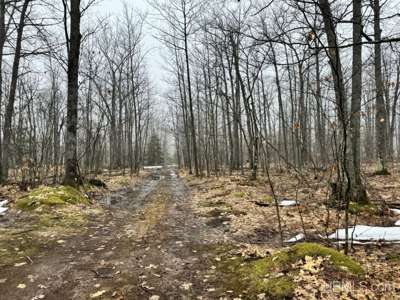 280 Acres Off Pikes Peak Road, L'anse Twp, MI 49946 Main Photo