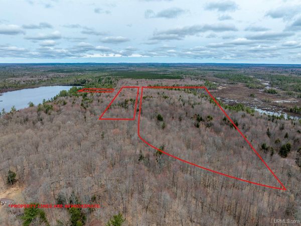 N975 Stella Lake Road, Mathias Twp, MI 49895