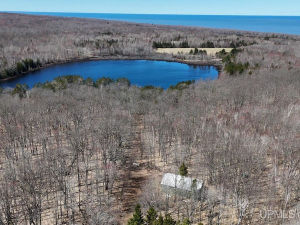 54821 S Tear Lake Road, Stanton Twp, MI 49931