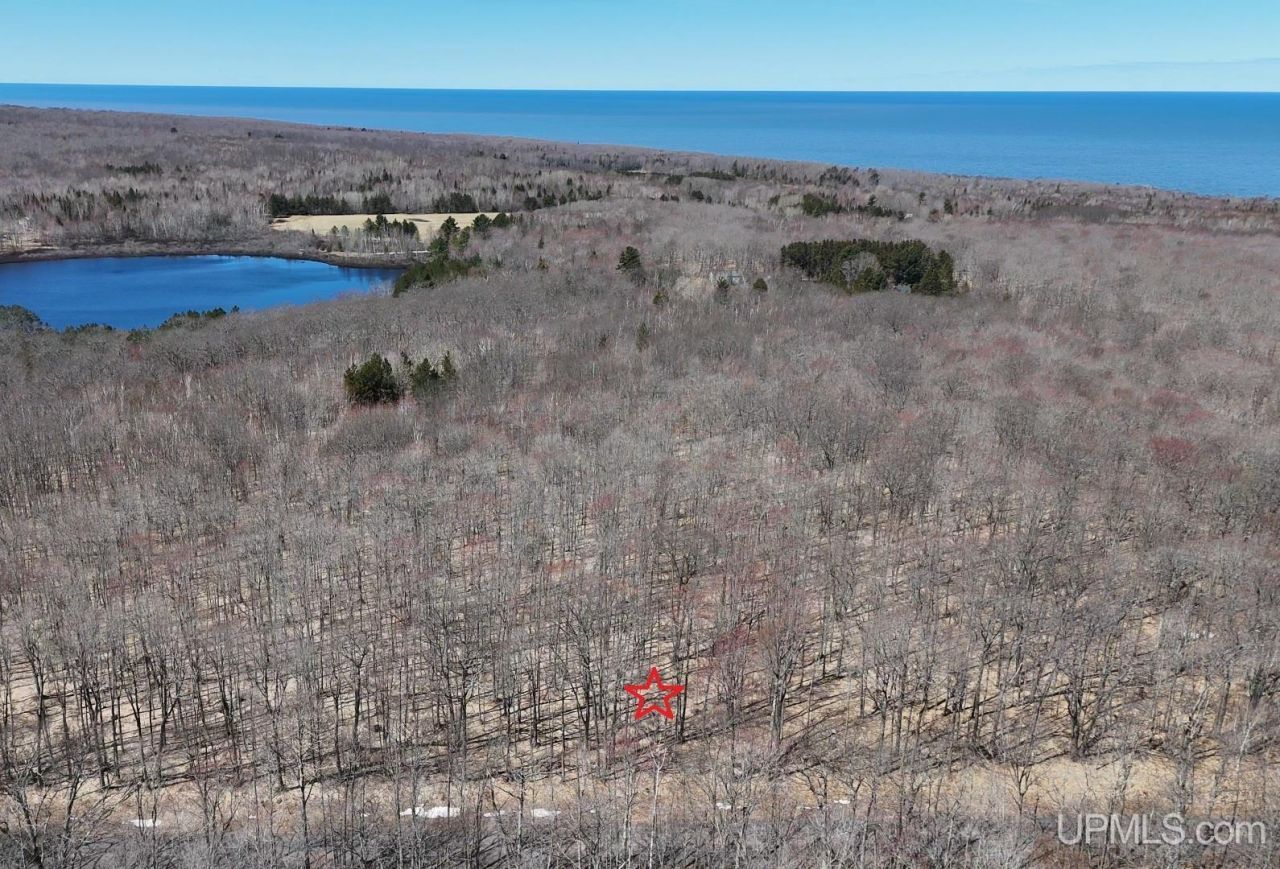 Tbd75 S Tear Lake Road, Stanton Twp, MI 49931 Main Photo